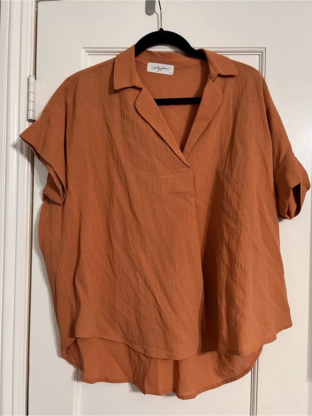 Carly Jean Los Angeles Terra Cotta Short-Sleeve V-Neck Blouse